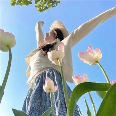 埃默里维尔实验